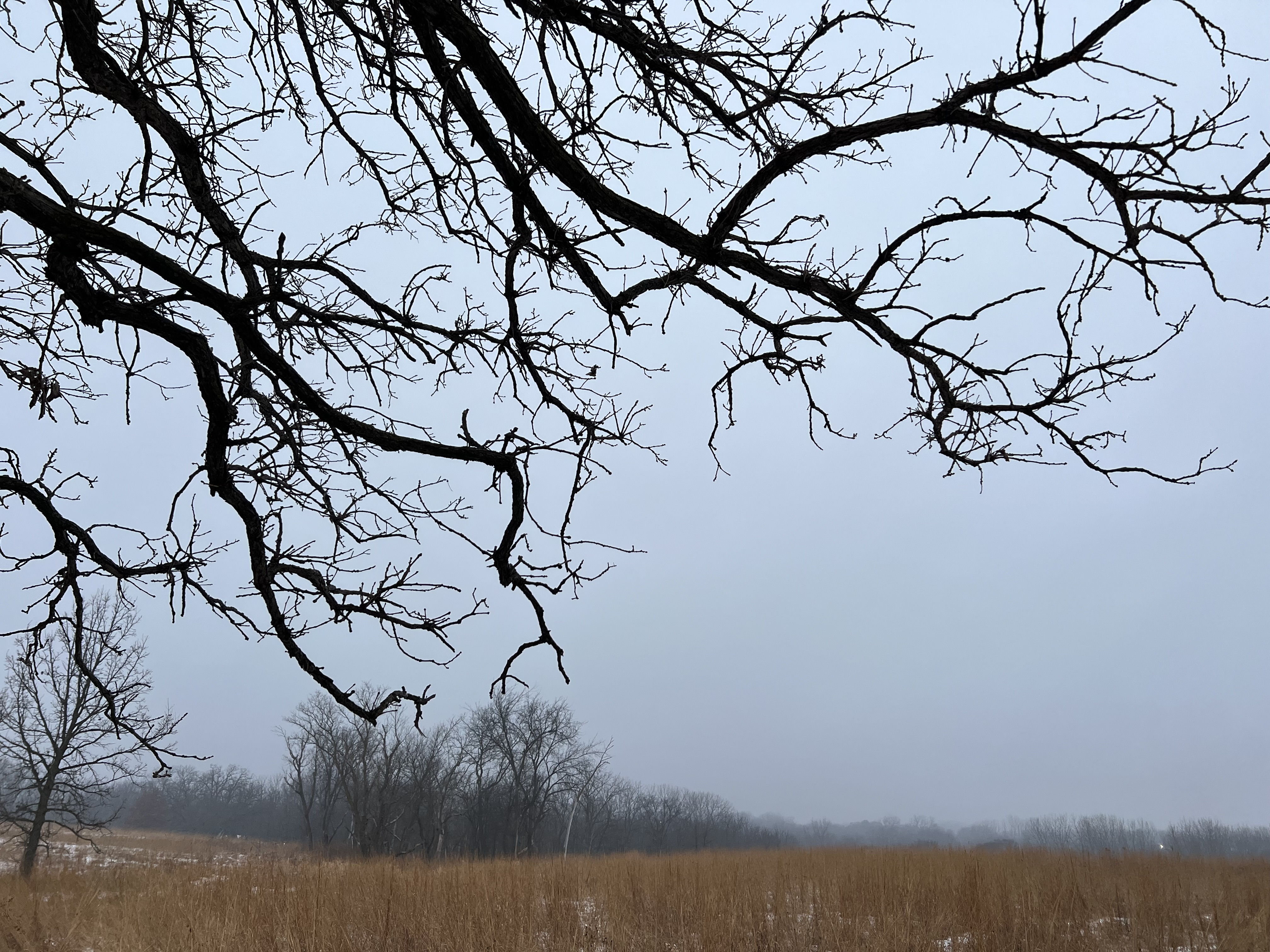 Christmas Tone Choir