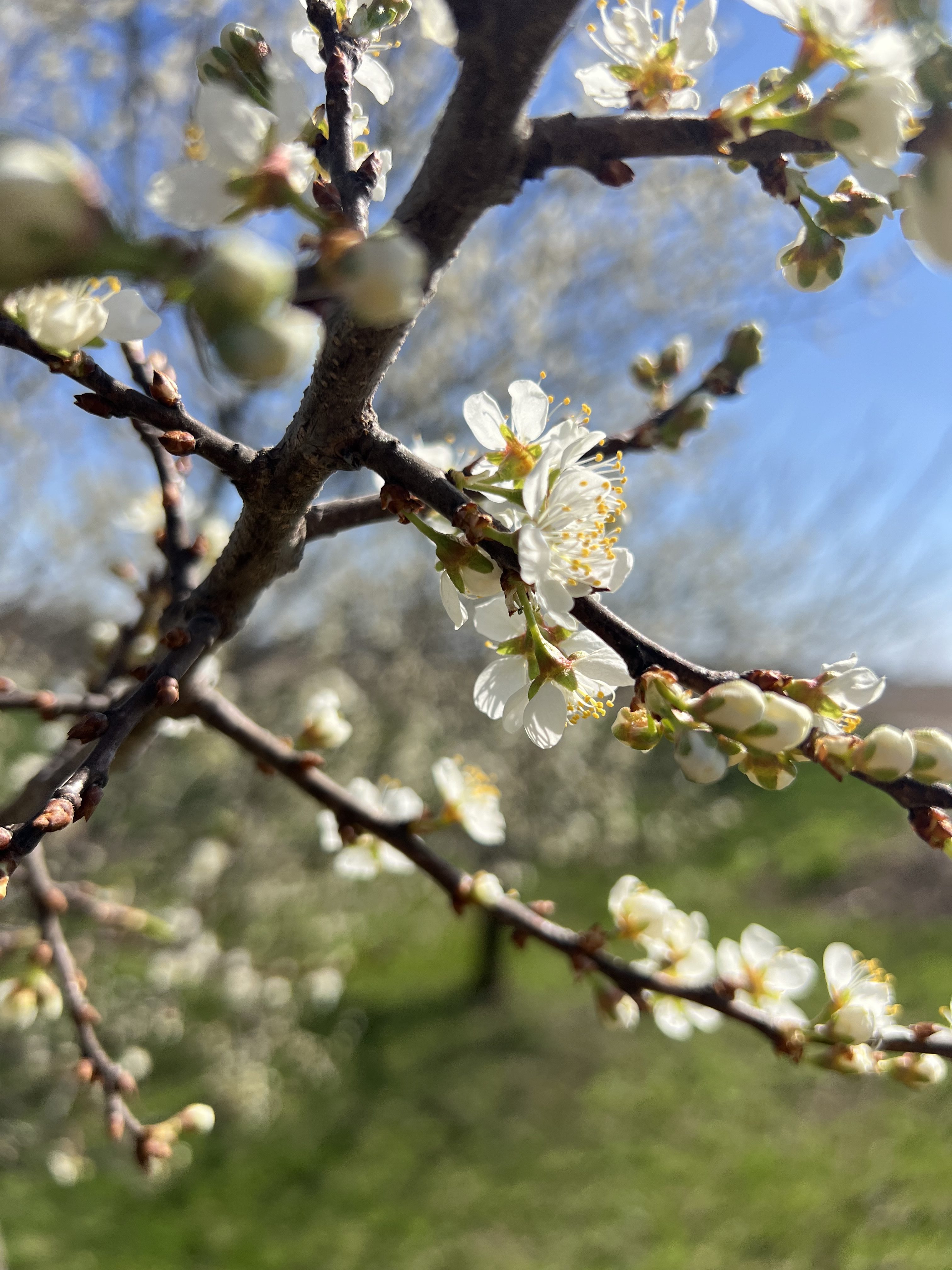 “Stop Drop and Feel” lyrics